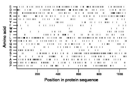 amino acid map