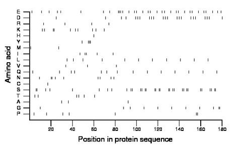 amino acid map