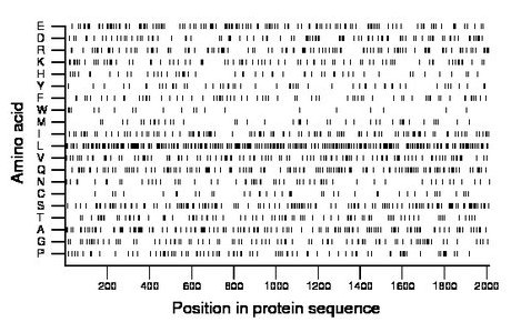 amino acid map