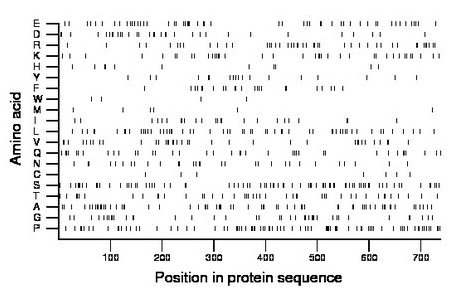 amino acid map