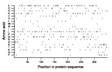 amino acid map