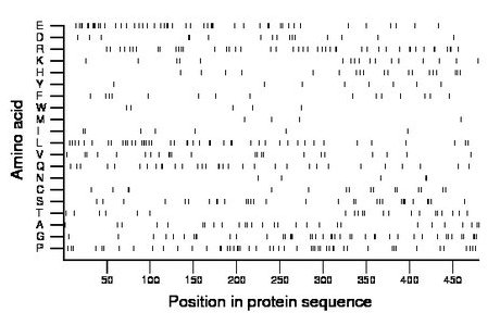 amino acid map