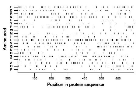 amino acid map