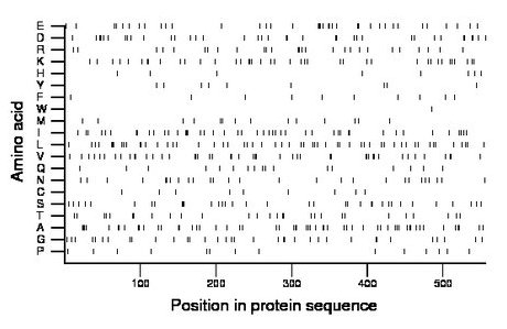 amino acid map