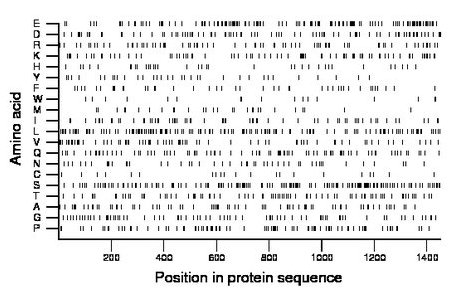 amino acid map