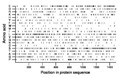 amino acid map