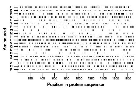 amino acid map