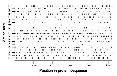 amino acid map