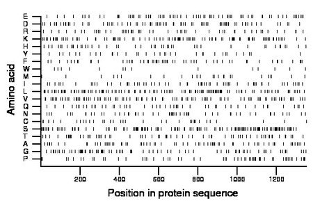 amino acid map