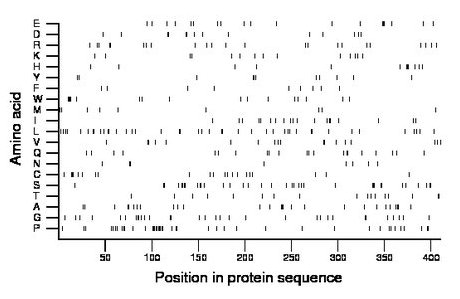 amino acid map