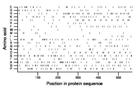 amino acid map