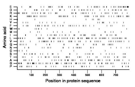 amino acid map