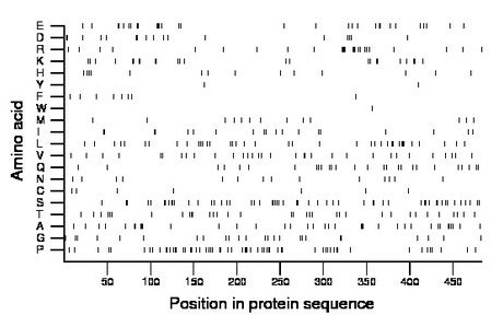 amino acid map