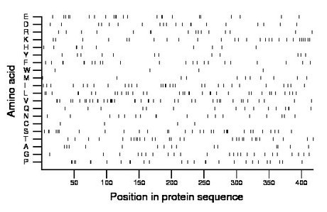 amino acid map