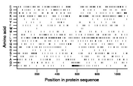 amino acid map