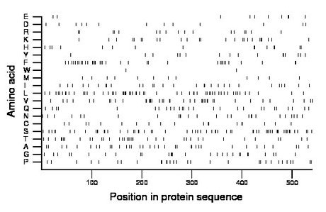 amino acid map