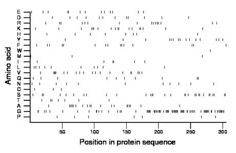 amino acid map