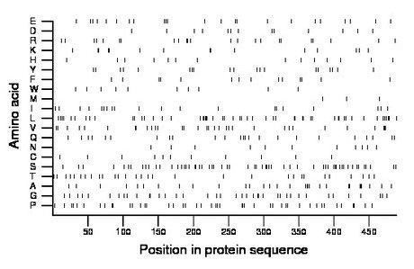 amino acid map