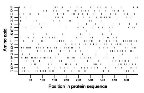 amino acid map