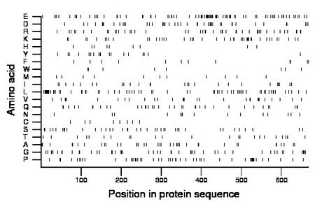 amino acid map