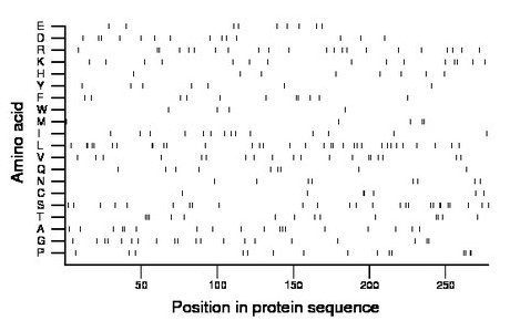 amino acid map