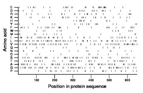 amino acid map