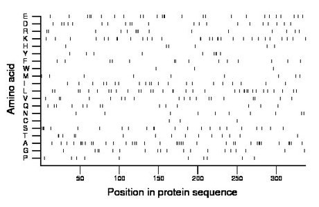 amino acid map