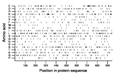 amino acid map