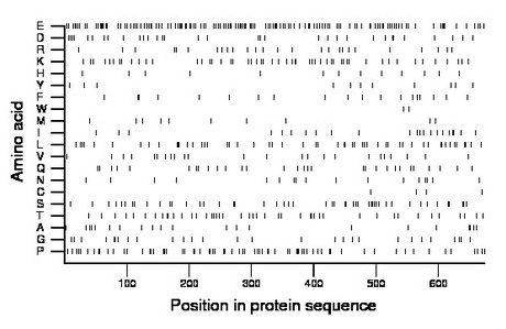 amino acid map