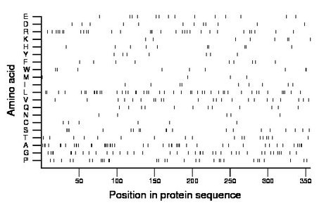 amino acid map