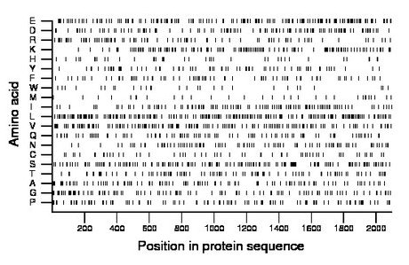 amino acid map