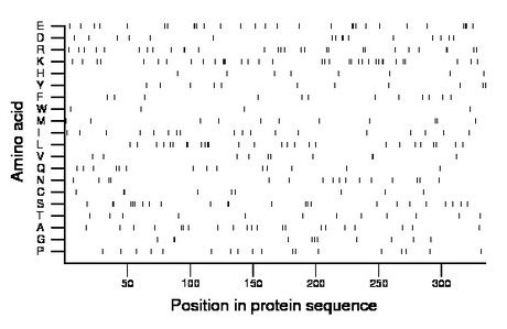 amino acid map