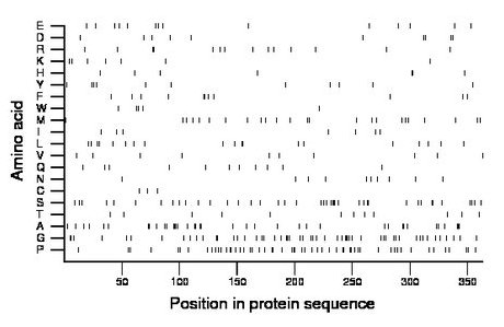 amino acid map