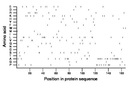 amino acid map