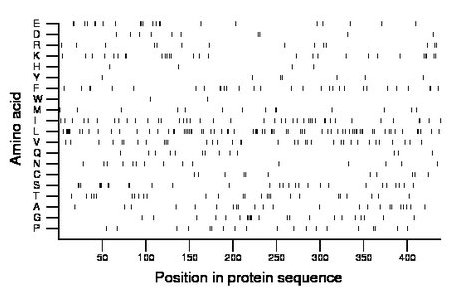 amino acid map