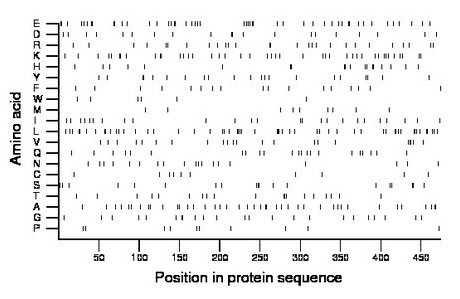 amino acid map