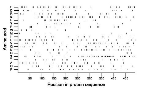 amino acid map