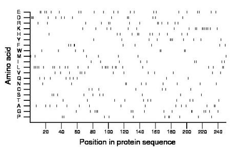 amino acid map