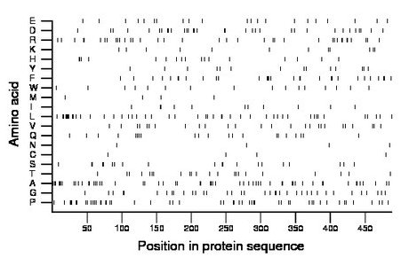 amino acid map