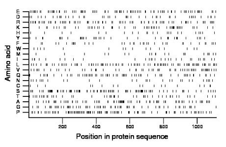 amino acid map