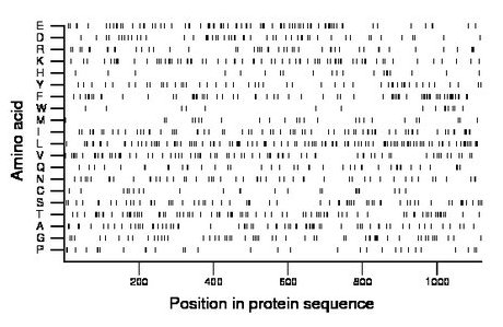 amino acid map