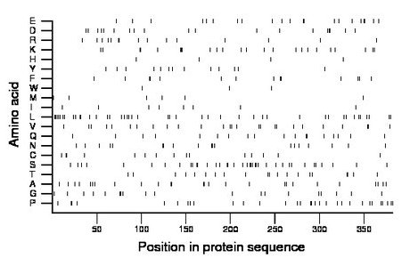 amino acid map