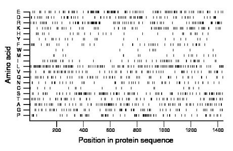 amino acid map