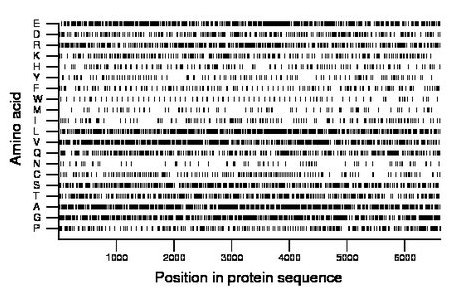 amino acid map