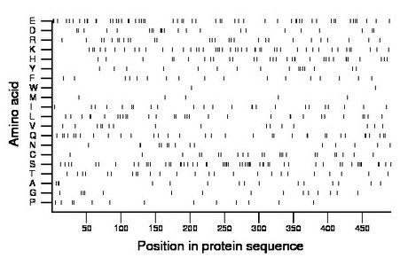 amino acid map