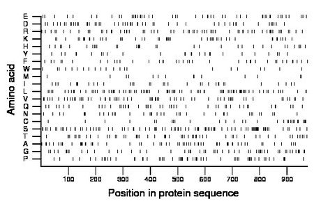 amino acid map