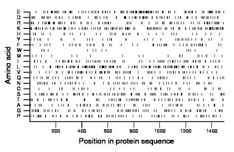 amino acid map