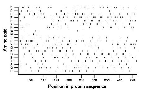 amino acid map