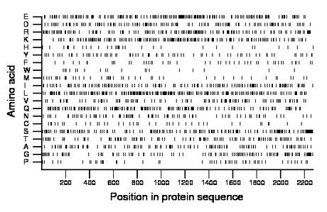 amino acid map