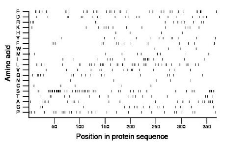 amino acid map